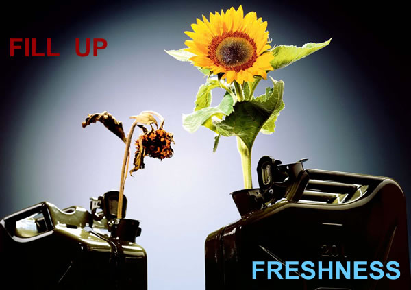 Fill up with freshness